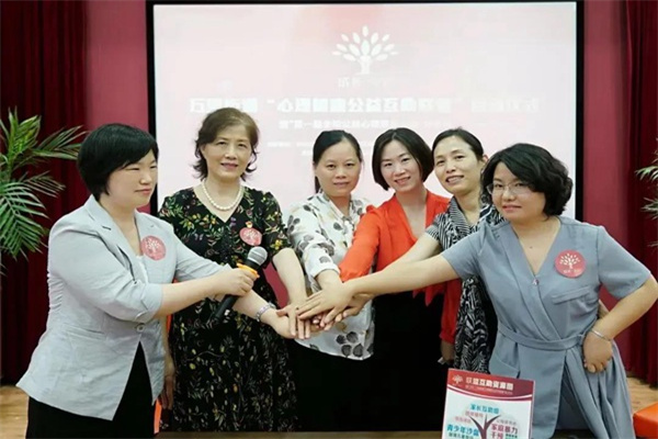股票质押信托配资：风险与机遇并存的财富游戏