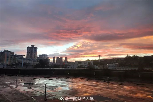 网红怼“胖东来玉石获百倍暴利”，河南许昌官方：平均毛利不超20%_和田玉_销售_商品