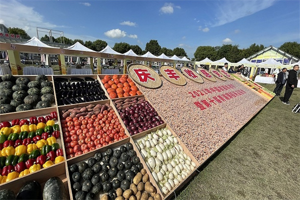 九洲药业深陷困境：净利润暴跌41%，前实控人涉嫌行贿373万，原监事家属违规交易引关注