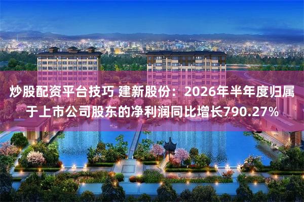 炒股配资平台技巧 建新股份：2026年半年度归属于上市公司股东的净利润同比增长790.27%