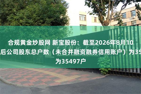合规黄金炒股网 新宝股份：截至2026年8月10日收市后公司股东总户数（未合并融资融券信用账户）为35497户