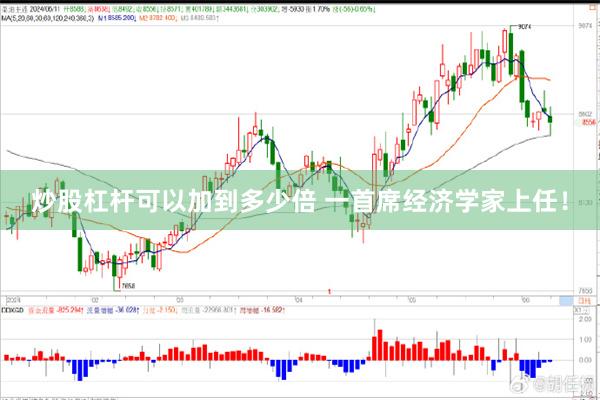 炒股杠杆可以加到多少倍 一首席经济学家上任！