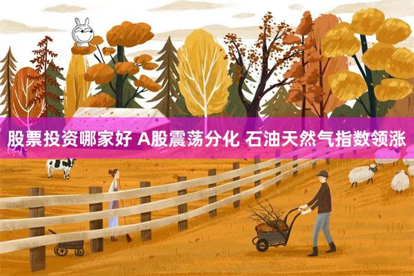 股票投资哪家好 A股震荡分化 石油天然气指数领涨