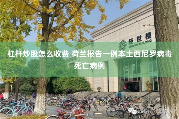 杠杆炒股怎么收费 荷兰报告一例本土西尼罗病毒死亡病例