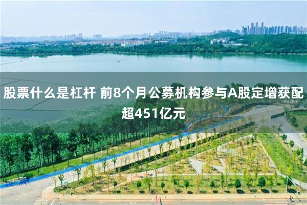 股票什么是杠杆 前8个月公募机构参与A股定增获配超451亿元