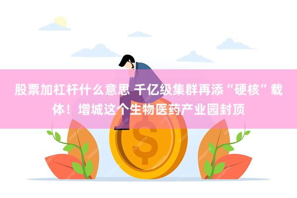股票加杠杆什么意思 千亿级集群再添“硬核”载体!增城这个生物医药产业园封顶