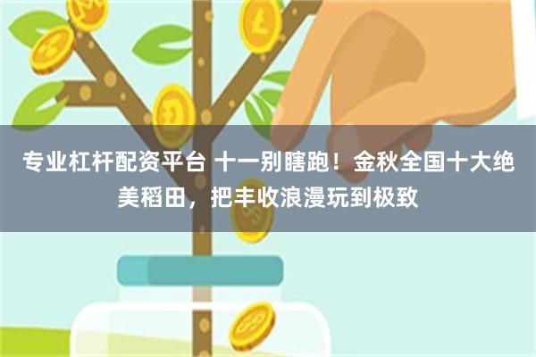 专业杠杆配资平台 十一别瞎跑!金秋全国十大绝美稻田,把丰收浪漫玩到极致